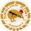 English Kiwi Airsoft
